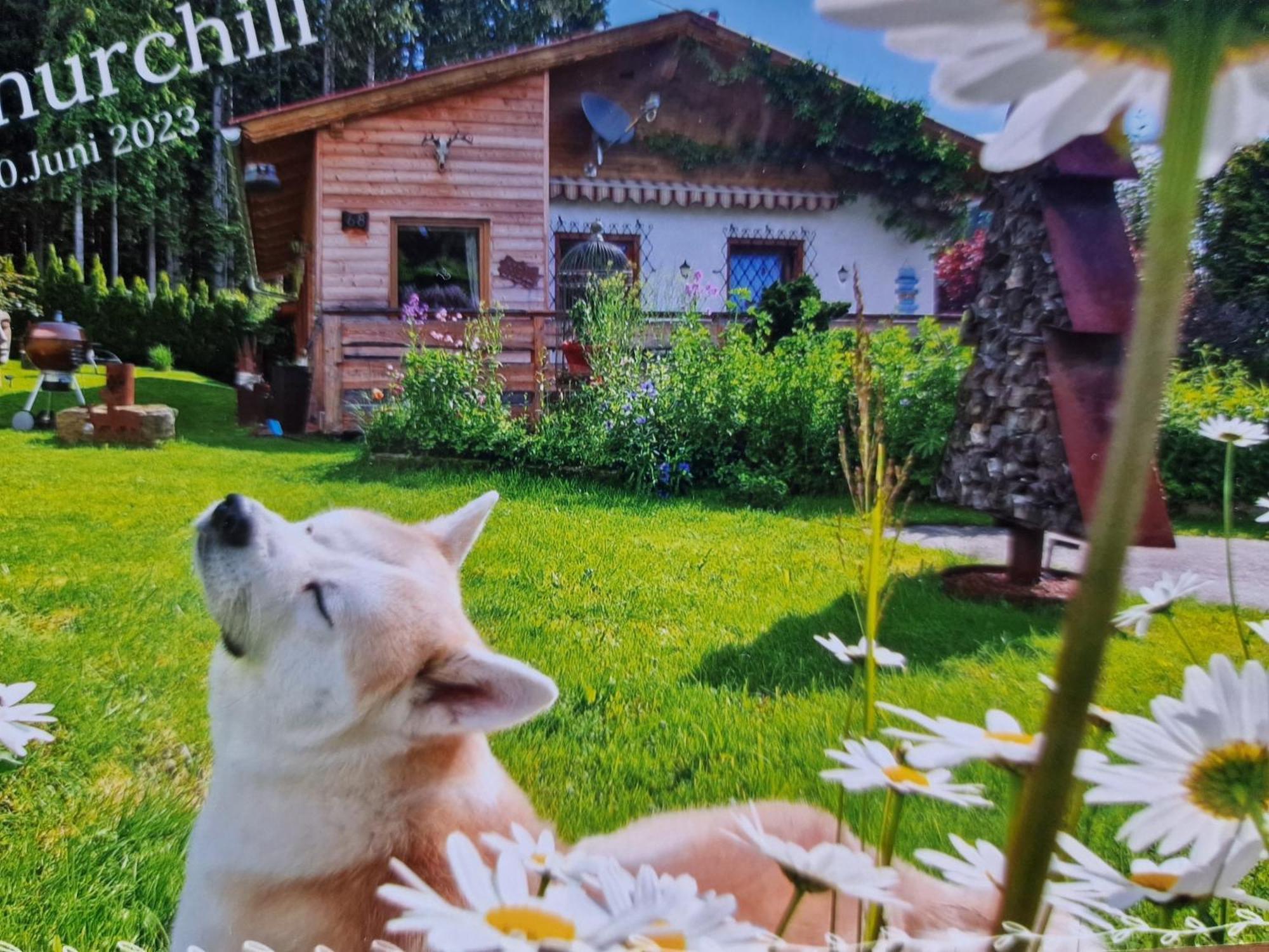 Knusperhaeuschen Maria Nikoletta Villa Witra Ngoại thất bức ảnh